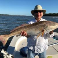 Red Drum