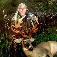 Whitetail Buck