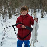 Snow Shoe Hare
