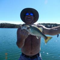 Bass Fishing