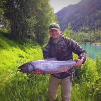 Chinook Salmon