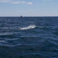 Offshore with Peace Marvel1890
