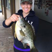 Nice Crappie