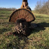 Early morning turkey