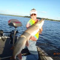 54 Inch Muskie
