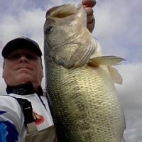 10 lb+ Bass