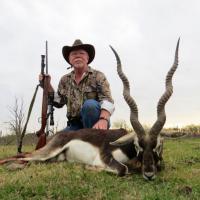 Blackbuck (Antilope)