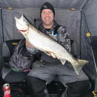 Lake Superior Brown Trout