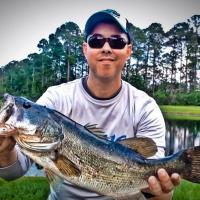 Nice Central Florida Largemouth