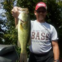 BASS pics