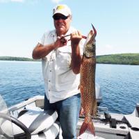 32 inch Pike