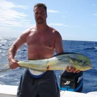 Key west 09 Dolphinfish