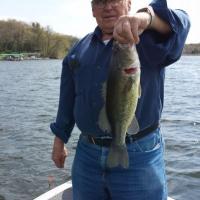 Minnesota Bass