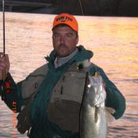 Nice Walleye