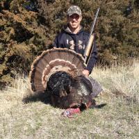 Kansas Gobbler