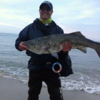 Alfredo's Striper Bass