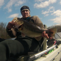 Largemouth Bass