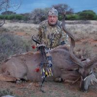 Kudu Bull-S. Africa