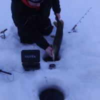 Catching Pike With The Help of The Aqua-Vu
