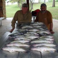 Lots of Crappie