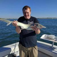 Jason's Shark