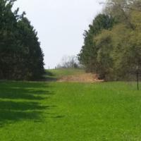 Food Plot