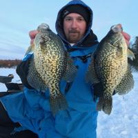 Tip Down Crappie