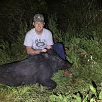 Boar Hunt