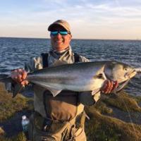 Alfredos' Bluefish