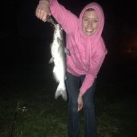 Night Fishing Cats