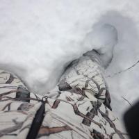 November Snow Fall in Northern Wisconsin