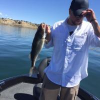 4.7 LB Lake Pueblo Walleye