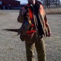 Nice bird
