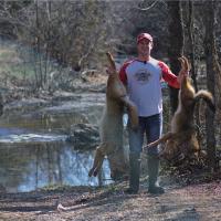 Adam finds coyotes