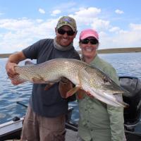 This Pike has a bite