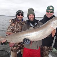 Another Giant on AML