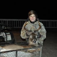 Buck, Whitetail Deer DSC 8882