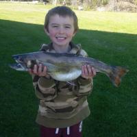 Mike's 3.7 lbs Trout