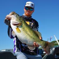 8lb Bass From Lake Travis