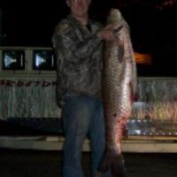 Bow Fishing Carp in Arkansas
