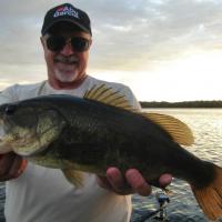 Wisconsin Large Mouth Bass