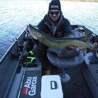Late Fall Musky on a Sucker Rig