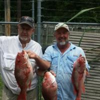 Snapper Trip