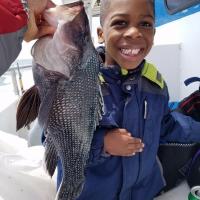 Big Black Sea Bass