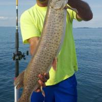 Muskie 2
