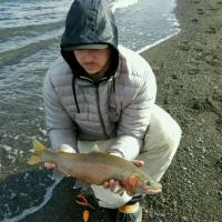 Fly Fishing Trout at Lake Pyramid