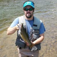 Brooke trout
