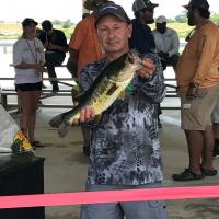 Wow - that's a contender