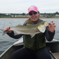 Jules' Striped Bass