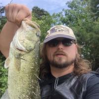 Nate's Bass